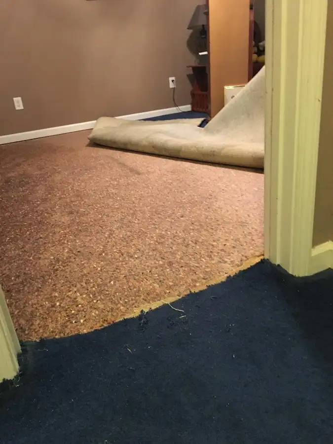 Carpet pad removal revealing water damage during Water Mitigation Services in Holden