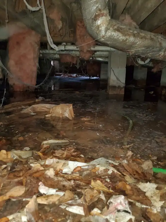 Crawl space flood assessment for Leak Detection & Repair in Holden