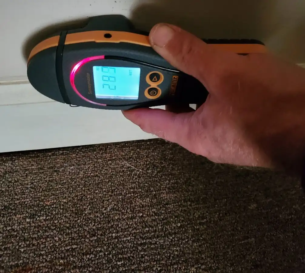 Moisture detection at baseboard during Mold Inspection & Testing in Holden